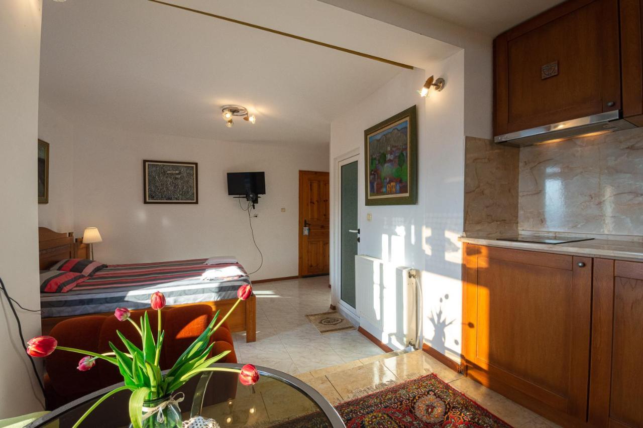 Guest house Doctor's House